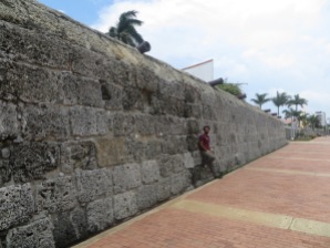 Las murallas y sus cañones
