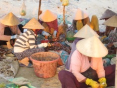 Mujeres en acción con sus típicos sombreros cónicos protegiéndoles de los últimos rayos de sol.